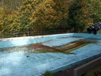 IMG_20221023_135805 (800x600).jpg